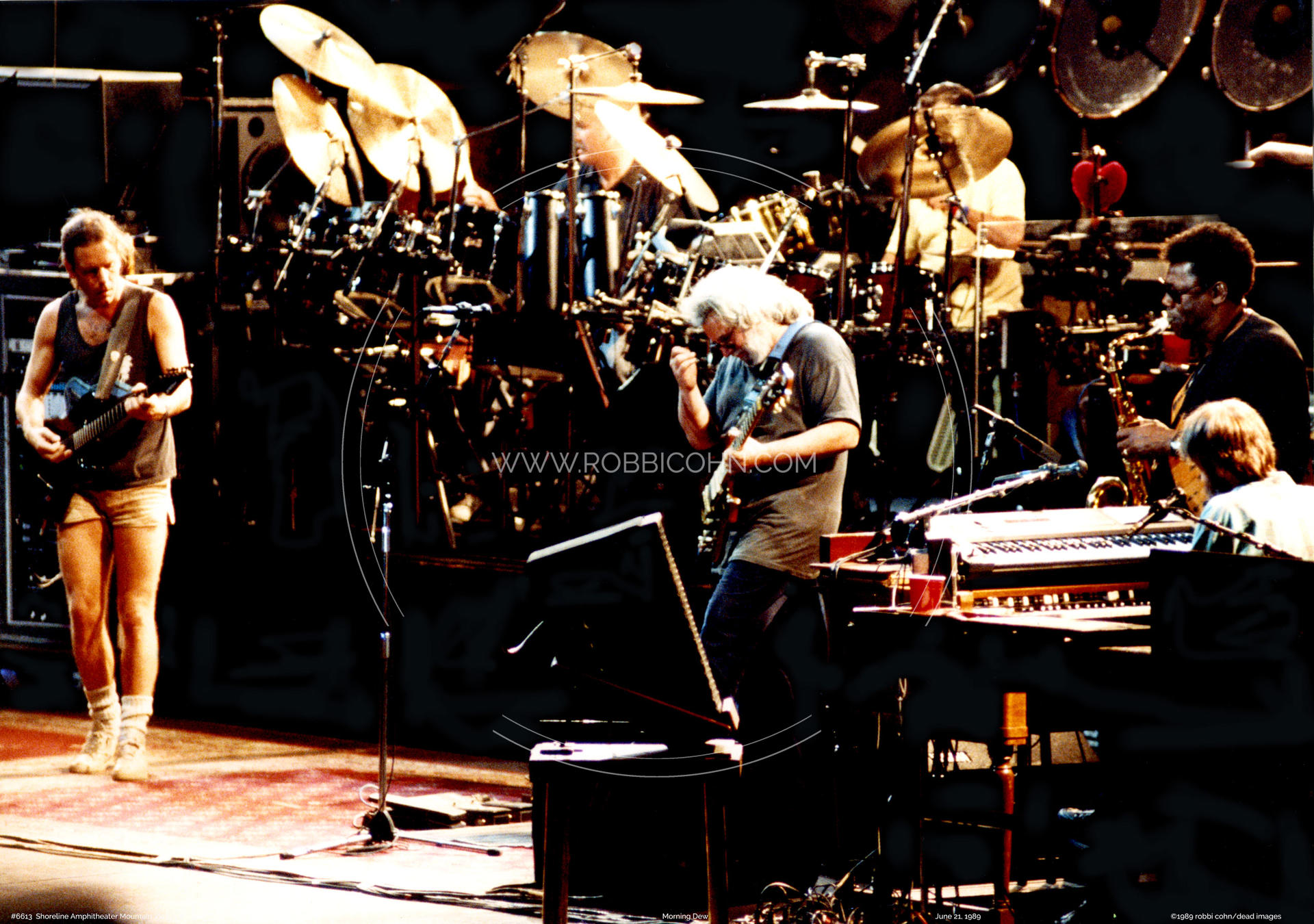 Grateful Dead - June 21, 1989 - Mountain View, CA | Robbi Cohn